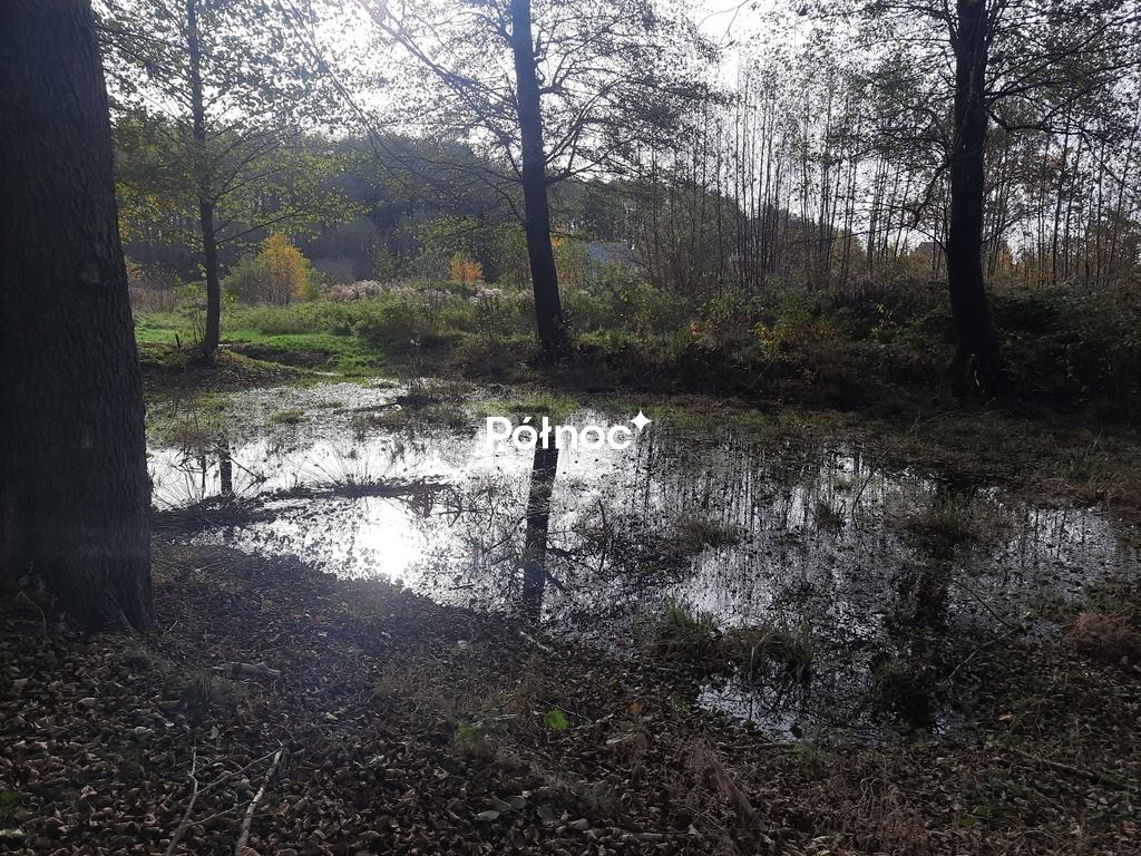 dom wolnostojący, 7 pokoi Zagajnik, ul. Wesoła. Zdjęcie 6