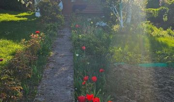 Działka rod Szczecin Gocław, ul. Południowa