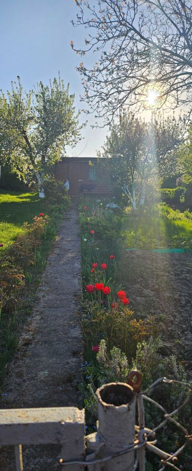 Działka rod Szczecin Gocław, ul. Południowa. Zdjęcie 2