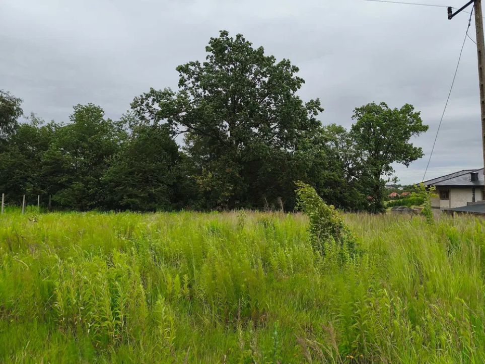 Działka budowlana Jakubowice Konińskie-Kolonia, ul. Kalinowa. Zdjęcie 3