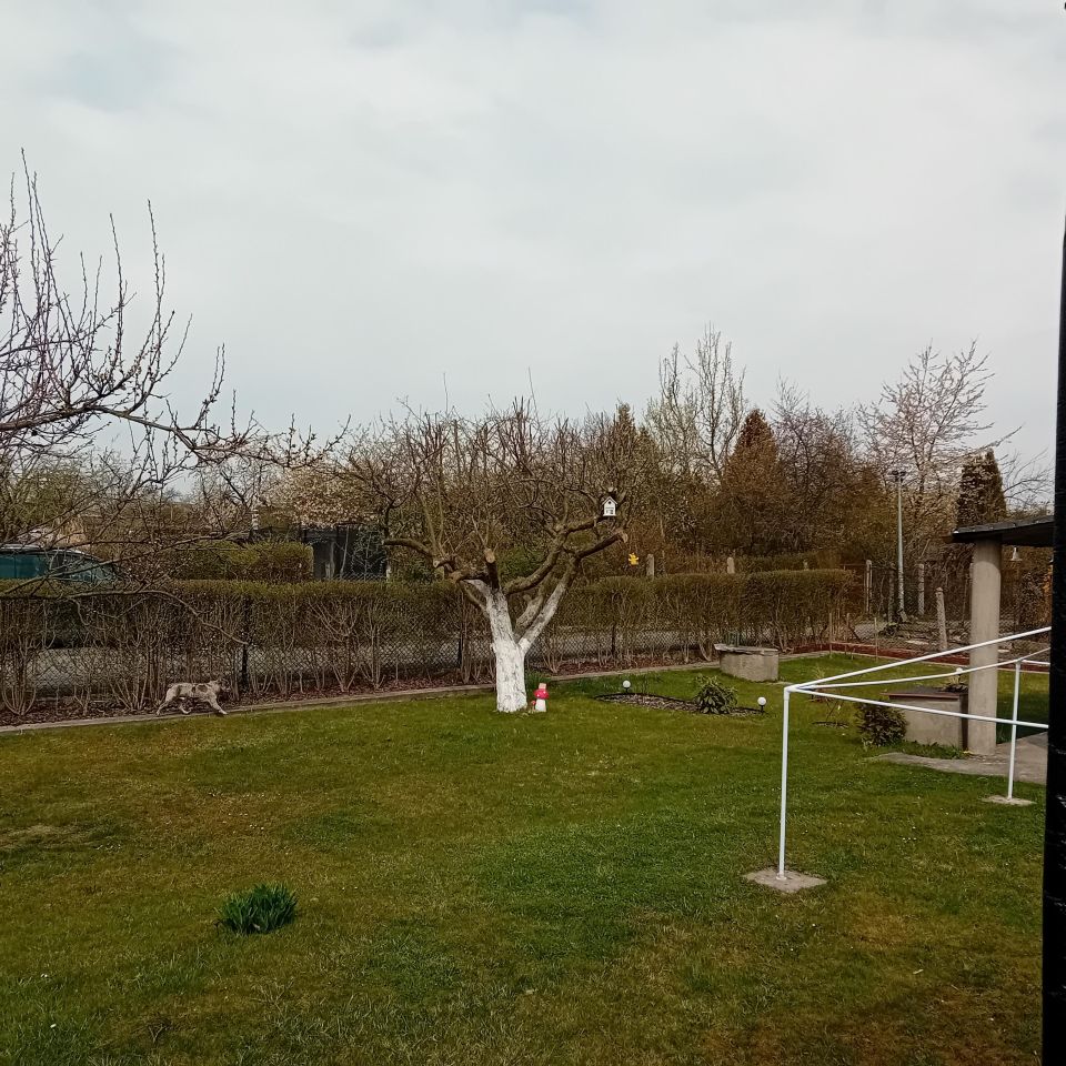 Działka rod Gliwice, ul. Rybnicka. Zdjęcie 10
