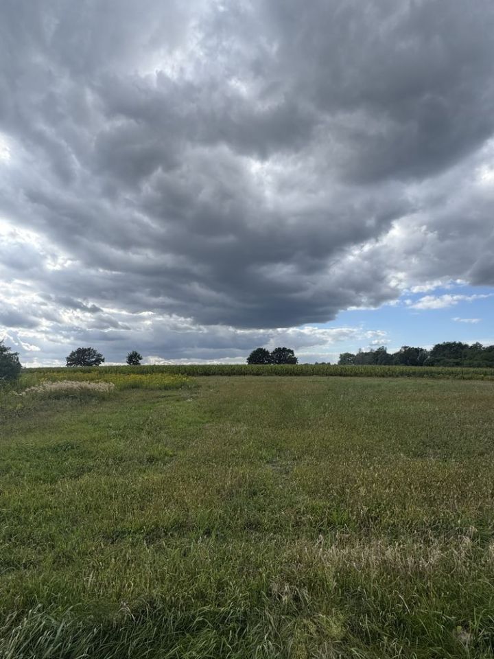 Działka budowlana Nowy Puznów. Zdjęcie 2