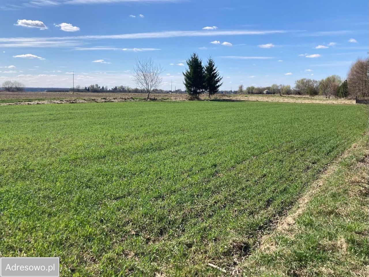 Działka rolno-budowlana Czernidła. Zdjęcie 1