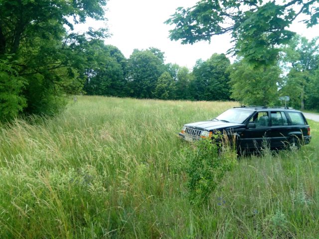 Działka rolno-budowlana Nowe Guty, Nowe Guty. Zdjęcie 3