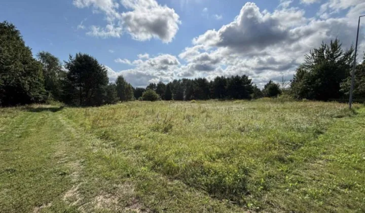 Działka budowlana Wysoka Kamieńska, ul. Kozielicka