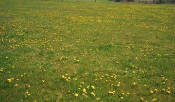 Działka budowlana Wólka