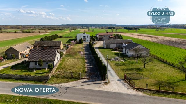 Lokal Polichno. Zdjęcie 3