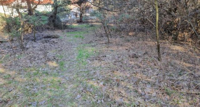 Działka budowlana Strzeniówka. Zdjęcie 4