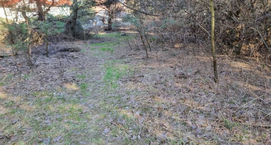 Działka budowlana Strzeniówka. Zdjęcie 4