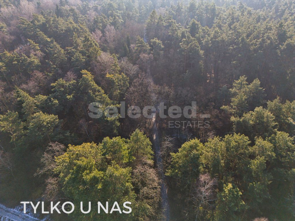 Działka budowlana Pokrzywnica. Zdjęcie 8