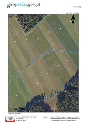 Działka rolna Grudna. Zdjęcie 1