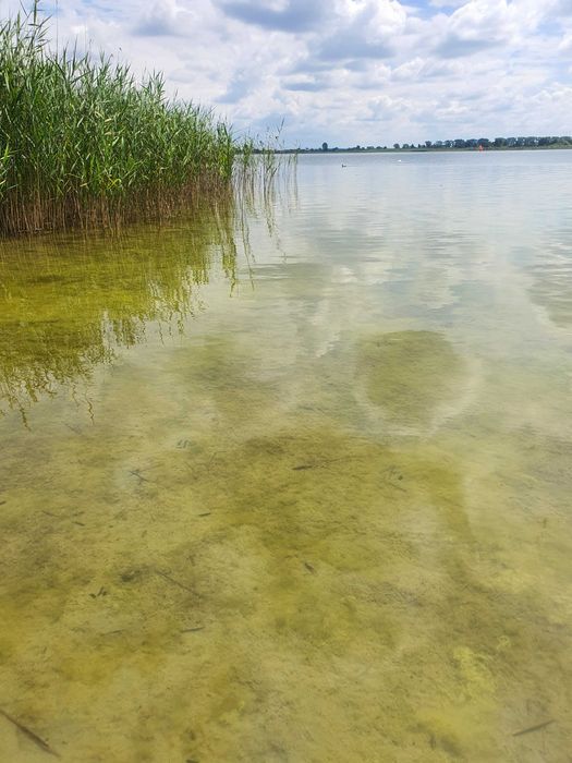 Działka rekreacyjna Kamienica. Zdjęcie 5