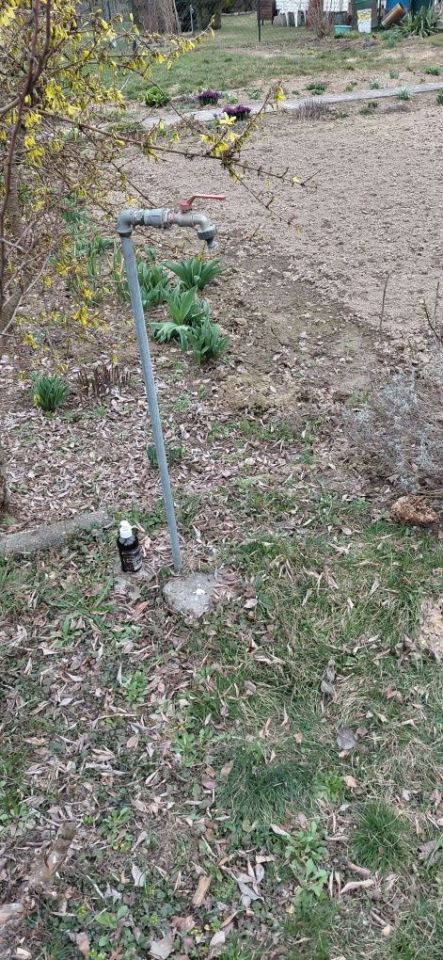 Działka rod Świdnik. Zdjęcie 2