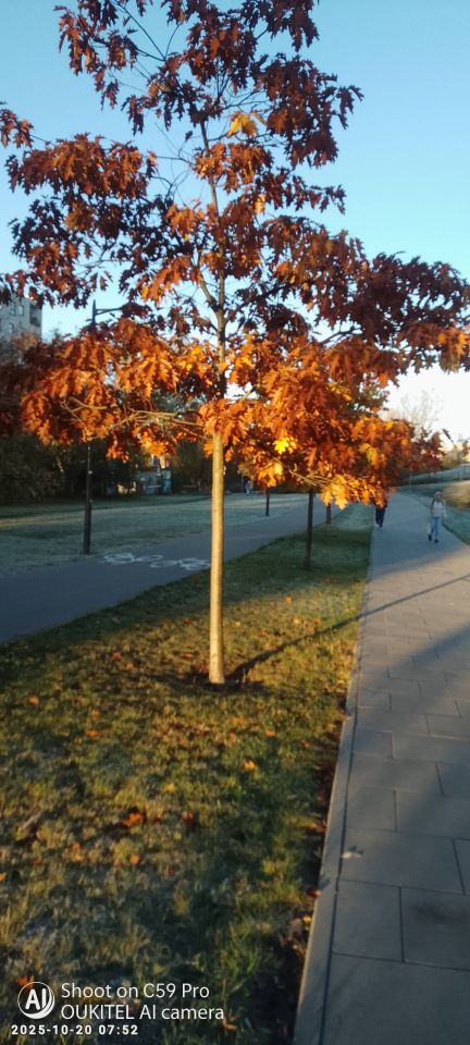 Mieszkanie 1-pokojowe Warszawa Wola, ul. Górczewska. Zdjęcie 3
