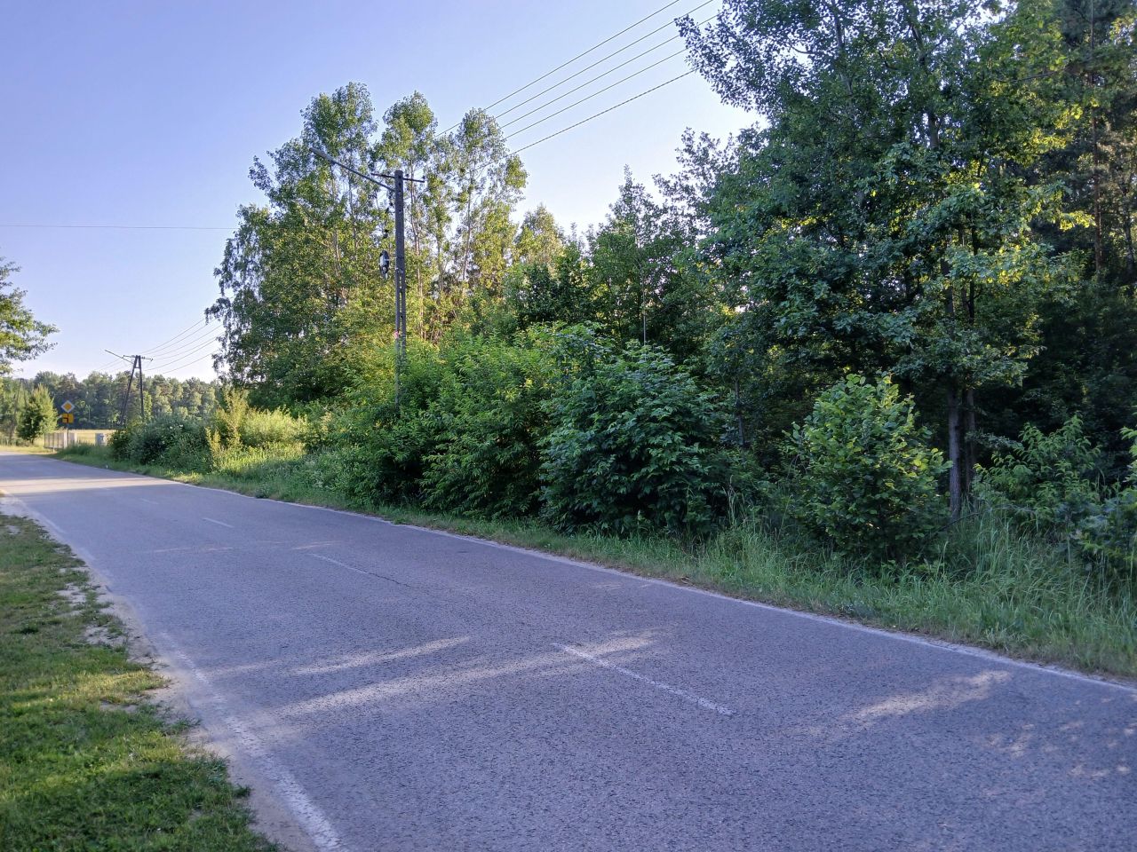 Działka rolno-budowlana Szczerców. Zdjęcie 3