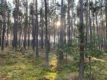 Działka rekreacyjna Chańcza. Zdjęcie 2