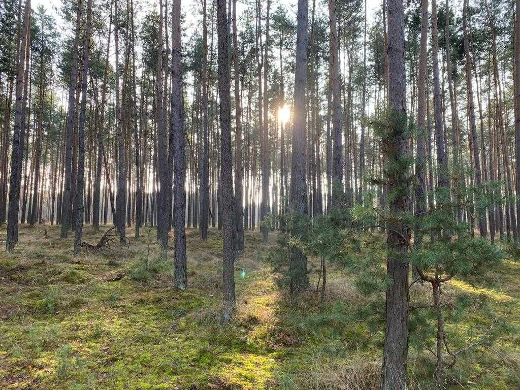 Działka rekreacyjna Chańcza. Zdjęcie 3