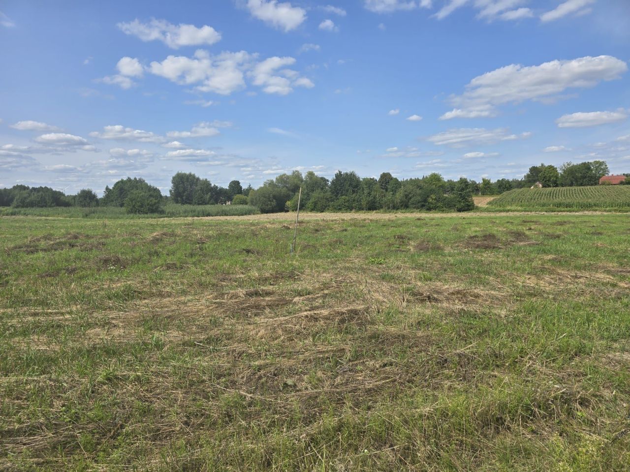 Działka budowlana Jedlanka Stara. Zdjęcie 8