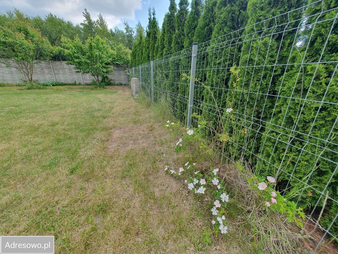Działka budowlana Paczkowo, ul. Falista. Zdjęcie 8