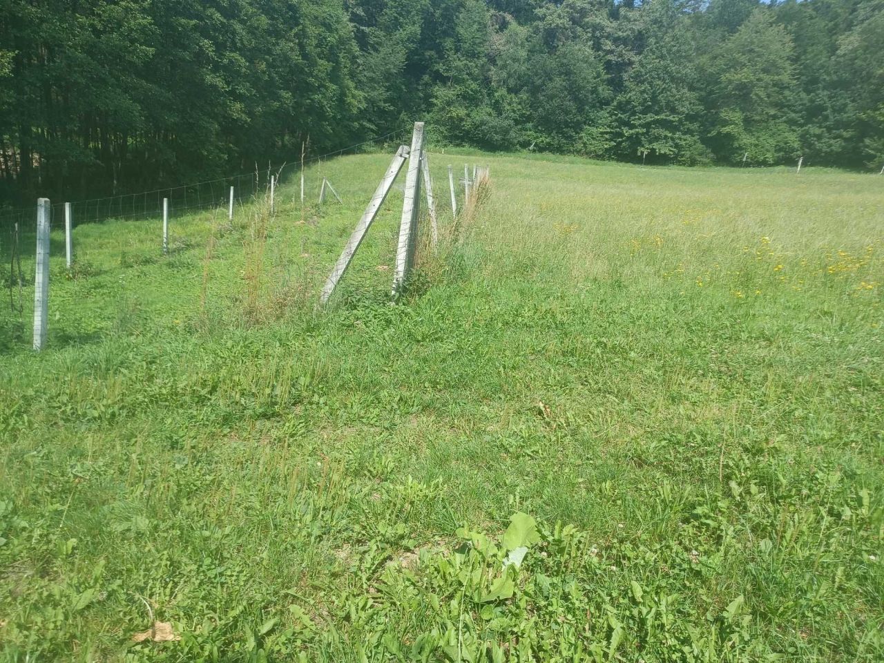 Działka rolna Godowa. Zdjęcie 3