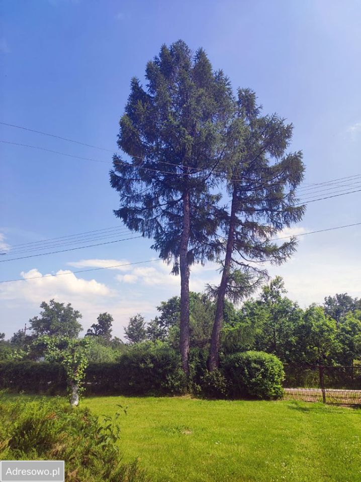 Działka rolno-budowlana Jeleniów, ul. Jeleniowska. Zdjęcie 2