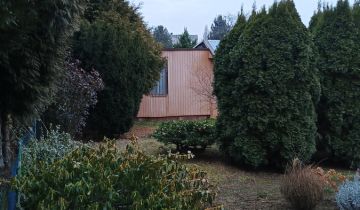 Działka rod Kalisz, ul. Złota