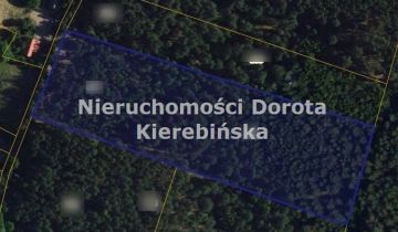Działka leśna Kozłowiec