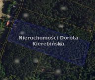 Działka leśna Kozłowiec