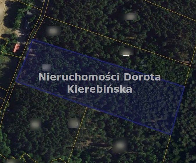 Działka leśna Kozłowiec
