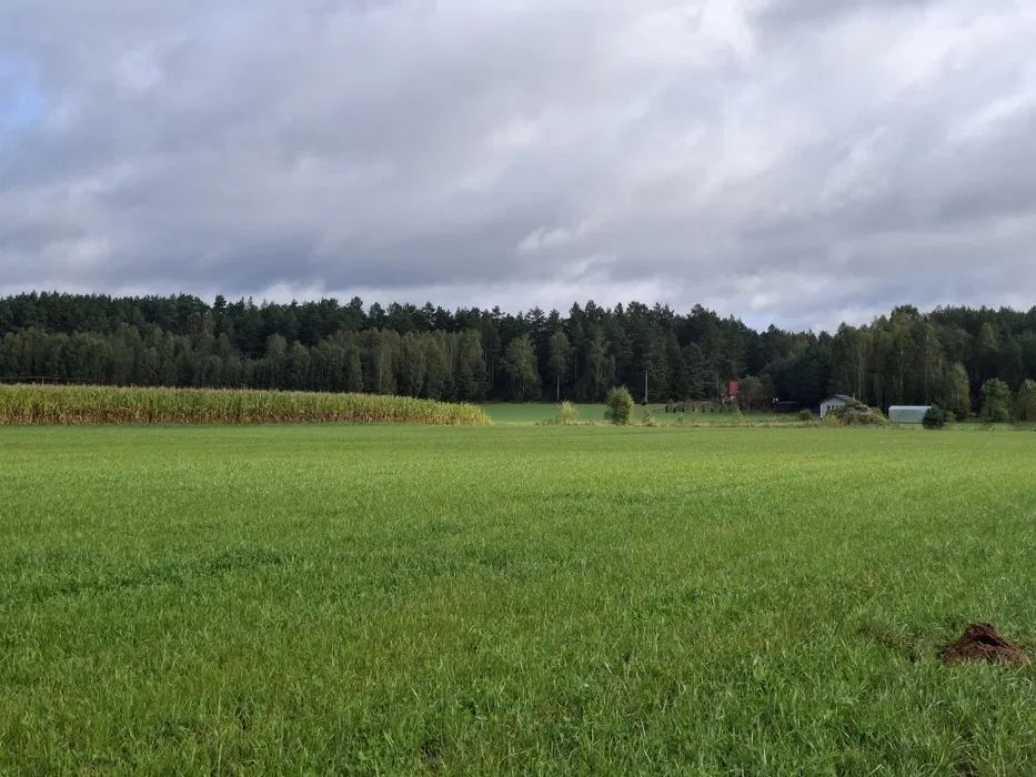 Działka budowlana Łążek, ul. Tleńska. Zdjęcie 7