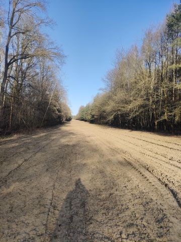 Działka rolna Jasionna. Zdjęcie 5