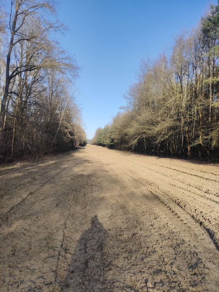 Działka rolna Jasionna. Zdjęcie 5