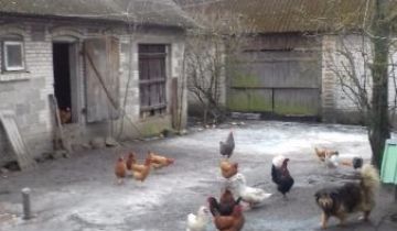 dom wolnostojący Kazanów, ul. Batalionów Chłopskich