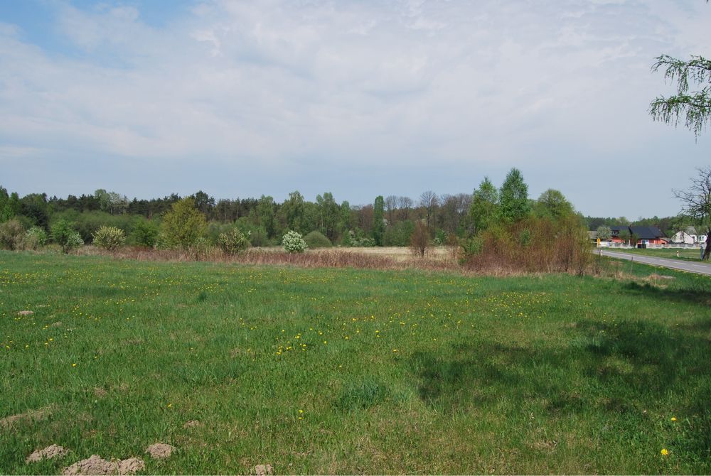 Działka budowlana Lipiny. Zdjęcie 2