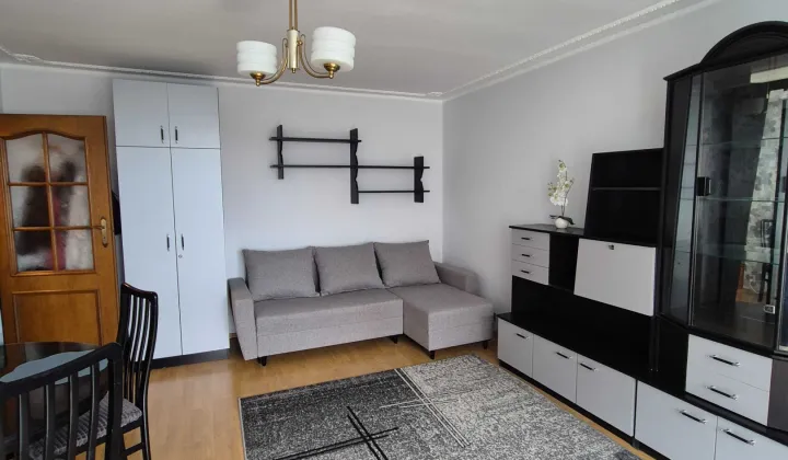 Mieszkanie 1-pokojowe Poznań Winogrady, os. Wichrowe Wzgórze
