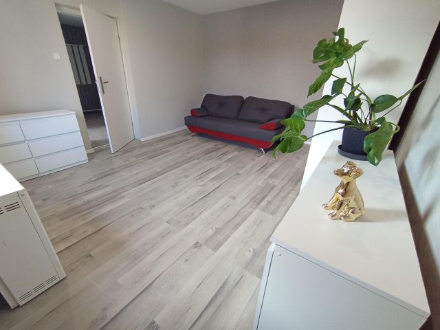 Mieszkanie 1-pokojowe Sosnowiec Milowice, ul. Kapliczna. Zdjęcie 1