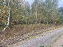 Działka budowlana Barcice Drwalewskie. Zdjęcie 1