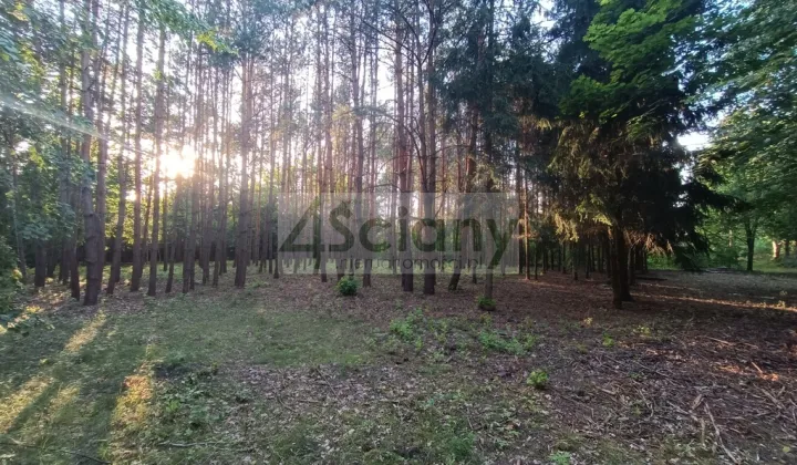 Działka budowlana Sulejówek Ratajewo