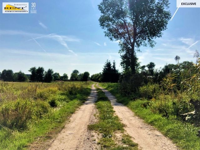 Działka budowlana Trzebusz. Zdjęcie 3