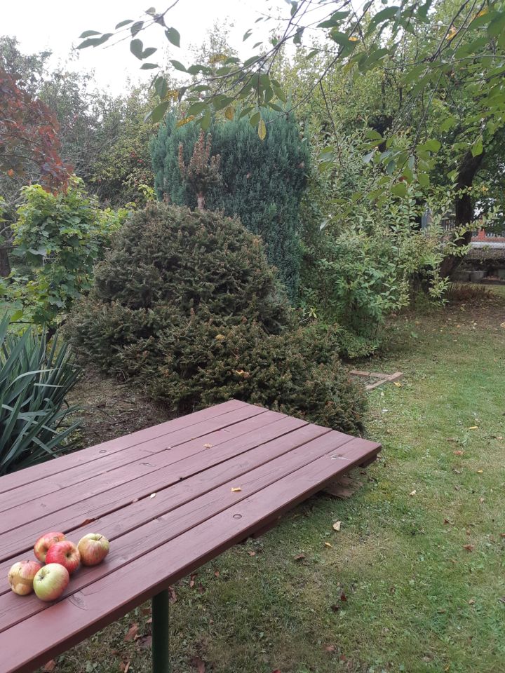 Działka rod Zielona Góra Centrum, ul. Andrzeja Struga. Zdjęcie 12