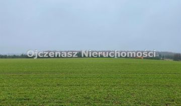 Działka inwestycyjna Gliszcz