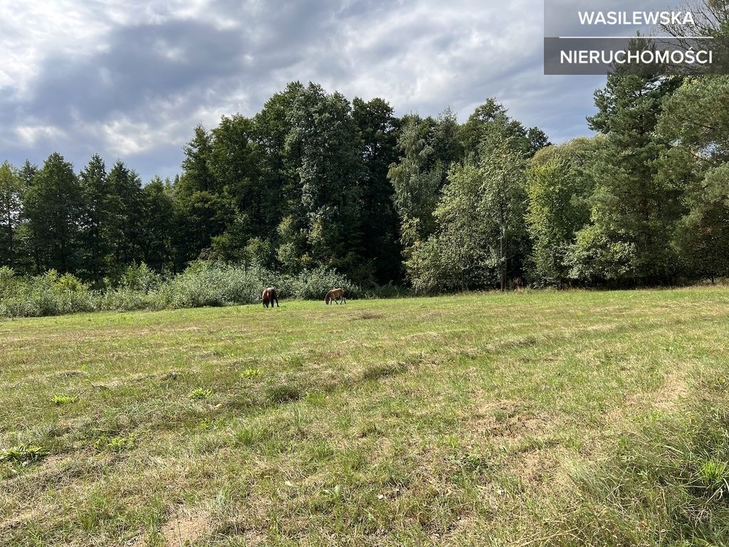Działka budowlana Wólka Wręcka. Zdjęcie 3