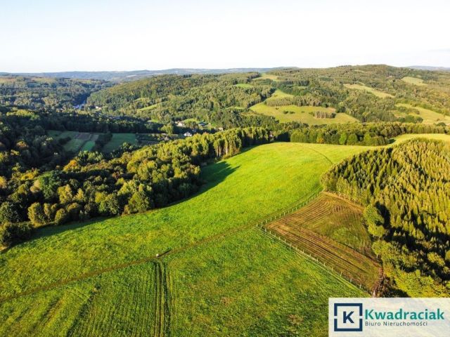 Działka rolna Lutcza. Zdjęcie 2
