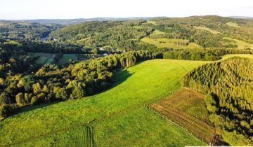 Działka rolna Lutcza