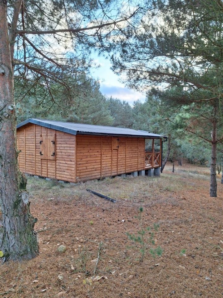 Działka rekreacyjna Smolniki Powidzkie. Zdjęcie 6