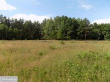 Działka budowlana Brzeźno. Zdjęcie 4