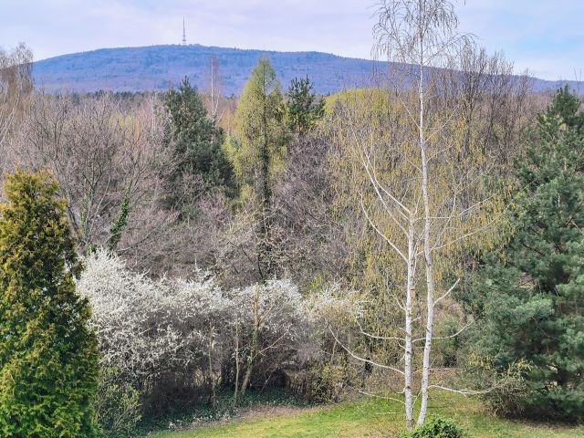 dom wolnostojący, 5 pokoi Sulistrowice. Zdjęcie 3