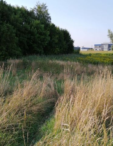 Działka rekreacyjna Gliwice Bojków, ul. Rolników. Zdjęcie 1