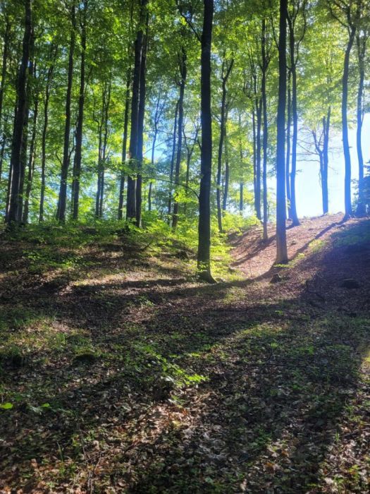 Działka budowlana Trzepowo, ul. Książąt Pomorskich. Zdjęcie 4