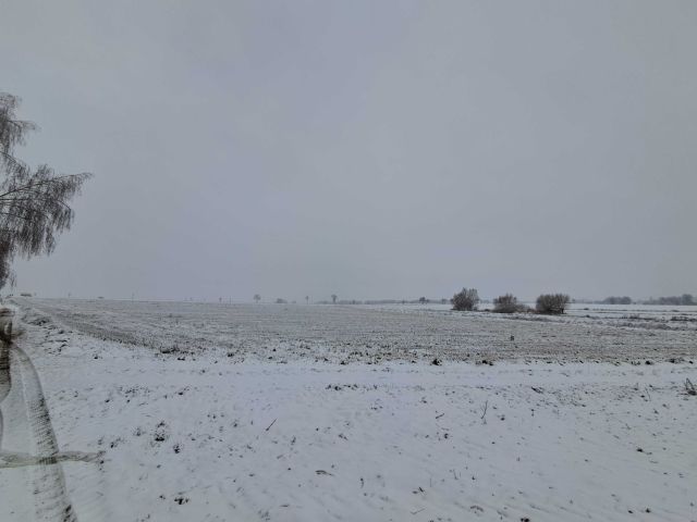 Działka inwestycyjna Nowa Wieś Książęca. Zdjęcie 1